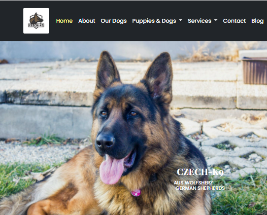 Czech K-9 Website Preview