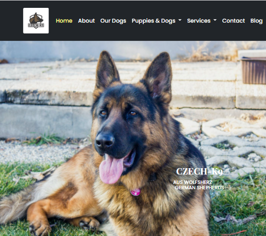 Czech K-9 Website Preview